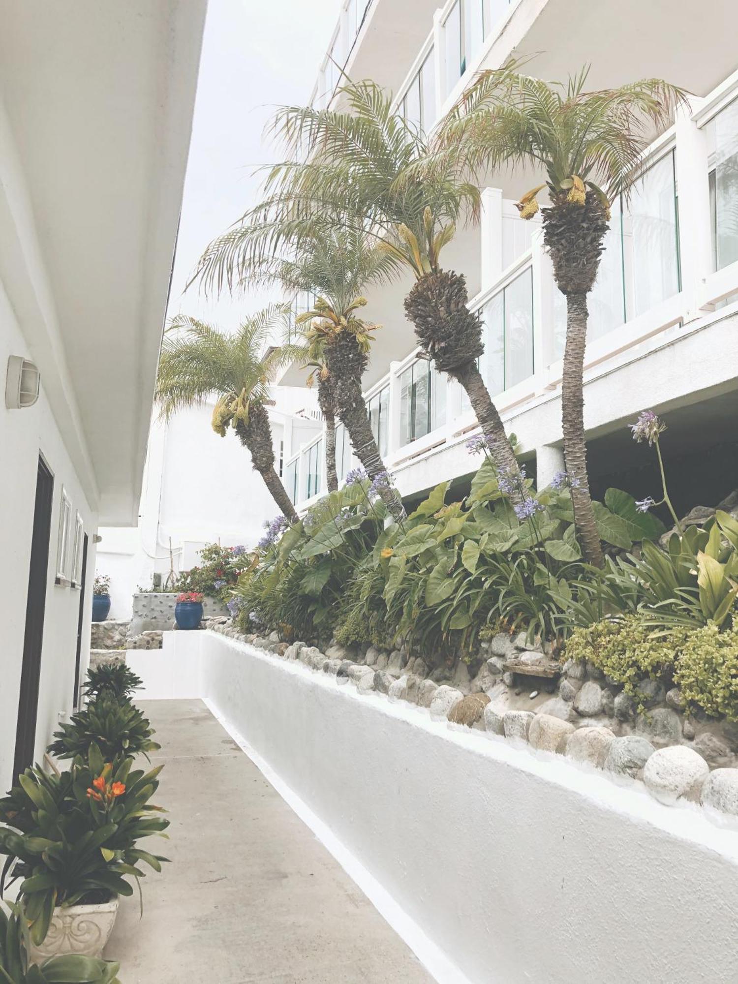 Capri Laguna On The Beach - A Boutique Hotel Laguna Beach Eksteriør billede